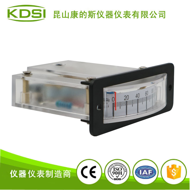 指针式负载表BP-15 100密刻度-2.jpg