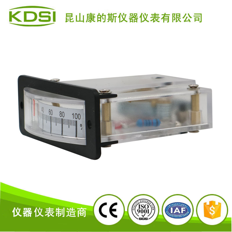 指针式负载表BP-15 100密刻度-3.jpg