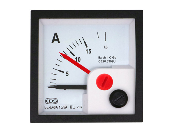 防爆表BE-E48A-AC15-5A-5倍双针